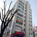 두바이 무도장 이미지