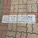 수락중고등학교 이미지