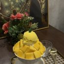 디어 마이 망고 이미지