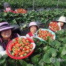 남원읍-64 이미지