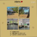 아이앤독 이미지