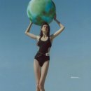 까멜리아 이미지