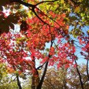 독바위역1번출구 이미지