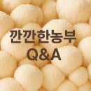 농사꾼홍삼 | [깐깐한 Q&A] “그래서 노루궁뎅이버섯, 도대체 ‘어디에’ 제일 좋은 겁니까?” 깐깐한농부가 직접 답...
