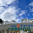 포레스트 캠핑장 이미지