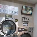 동백세탁 이미지