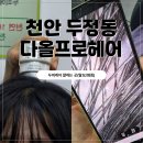 다올헤어샵 | 천안 두정동미용실 다올프로헤어 두피케어 잘하는곳