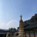 영성시스템