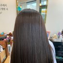 베이직살롱 이미지