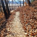 의령남강 이미지