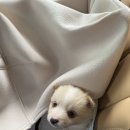 이기영수의과병원 이미지