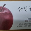 삼정농원 네이버블로그