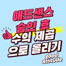 디지탈에버그린 | 애드센스 승인받고 나서가 진짜 시작입니다! 수익화 블로그 전략 꿀팁 (+로드맵)