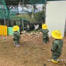 은호농장 이미지