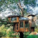 트리하우스 이미지
