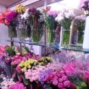 남동화원 이미지