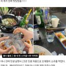 본드라이 이미지