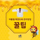 화원 블랙벨트 태권도장 이미지