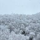 용담돌집민박 | 태백산 설산 천제단/장군봉 등산후기[유일사 - 당골광장 코스] + 태백 숙소 추천(아늑한 돌집 민박 펜션)