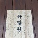 [수내] 성시경 먹을텐데 분당 족발 맛집 윤밀원 솔직 후기
