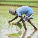 꿈을 심는 회사 이미지