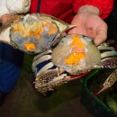 세대공감 트로트SHOW 이미지