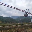 벅스랜드(스카이 벅스, SKY BUGS) 이미지