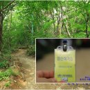 곰배령새소리 이미지