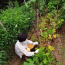 더숲요양병원 이미지