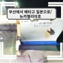 카멜리아 이미지