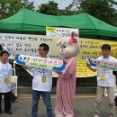 한국침례신학대학교 이미지