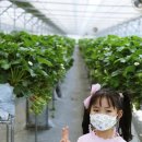 재중농장 이미지