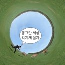위례성로 | 천안 북면 카페 흑 후기 | 숲속 뷰 좋은 한옥 감성 카페