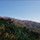 당치회관 이미지