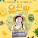 김종태농장 이미지