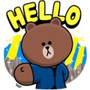 순도리네애견 이미지