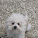 몽글몽글 이미지