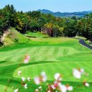 영동 일라이트CC 이미지