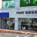 인천24시유앤미동물병원 이미지