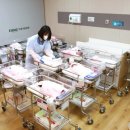 이화양행 이미지