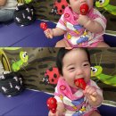 멍린이집 이미지