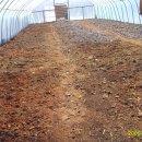 원두골농장 이미지