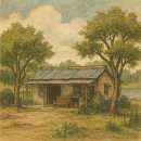 행정사사무소 벗 이미지