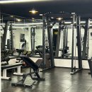 스테이 머스큘라 이미지