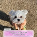 오동 농장 이미지