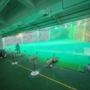 송림도화 이미지