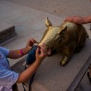 황금돼지 이미지