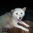 달아실 농원 이미지