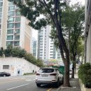 일신 노래연습장 이미지