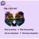 [공지] 영어공부 혼자하기를 무조건 성공하는 시원스쿨 엘바 선생님의 라이브 강의 후기